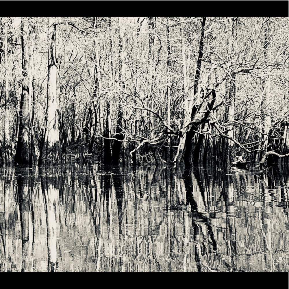 Meet your Posher, Rhiannan